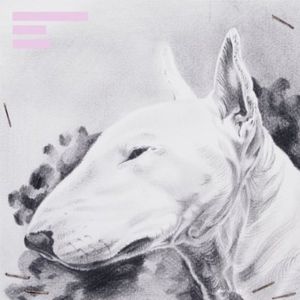 Painkiller , Terranova