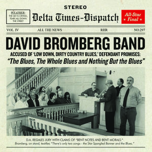 Blues The Whole Blues & Nothing But The Blues , David Bromberg