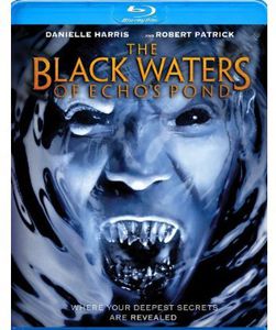 The Black Waters of Echo's Pond , Nick Mennell