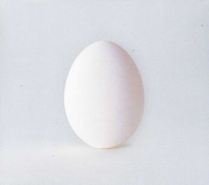 A Ghost Is Born , Wilco