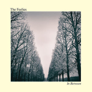 In Between , The Feelies