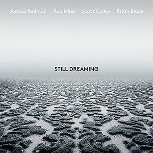 Still Dreaming , Joshua Redman