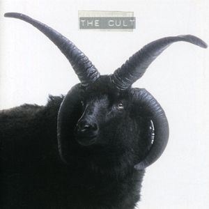 Cult , The Cult