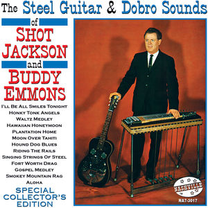 Steel Guitar and Dobro Sounds