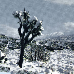 Pale Calling , Oren Ambarchi