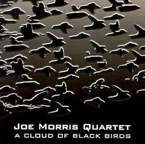 A Cloud Of Black Birds , Joe Morris
