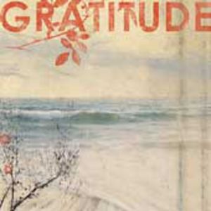 Gratitude , Gratitude
