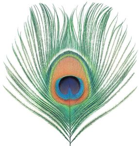 Apple Venus Vol 1 [Import] , XTC