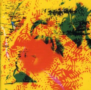 Ypgpn , Phill Niblock