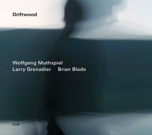 Driftwood , Brian Blade