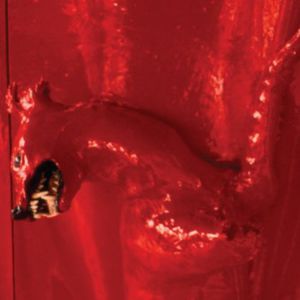 A Red Score in Tile , William Basinski