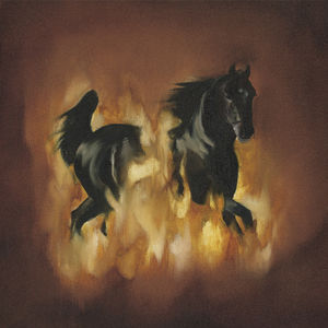 The Besnard Lakes Are The Dark Horse , The Besnard Lakes