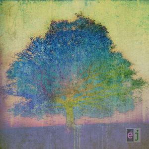 EJ , Eric Johnson