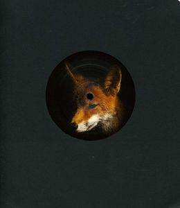 Foxology , Mike Shannon