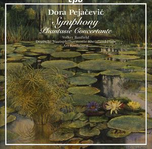 Symphony / Phantasie Concertante , Ari Rasilainen
