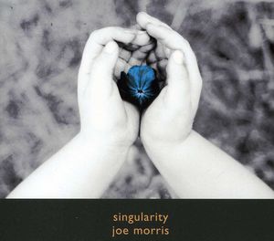 Singularity , Joe Morris