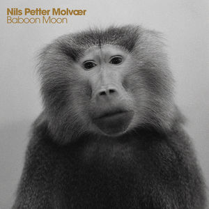 Baboon Moon , Nils Petter Molv r