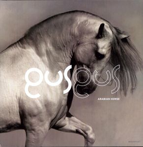 Arabian Horse , Gus Gus