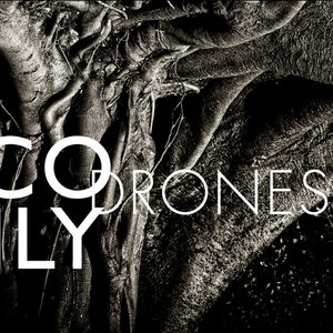 Drones , Nico Muhly