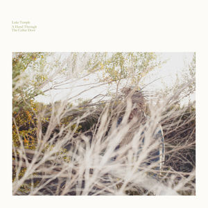 A Hand Through The Cellar Door , Luke Temple
