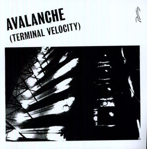Avalanche (Terminal Velocity) , Erol Alkan