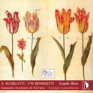 Gaude Flore: Italian Music of the 17th & 18th Century , Teresio Colombotto