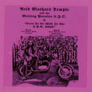 Born to Be Wild in the USA 2000