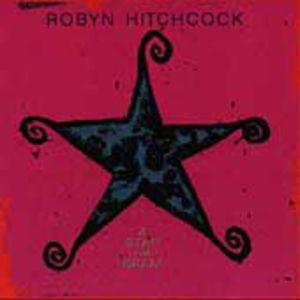 Star for Bram , Robyn Hitchcock