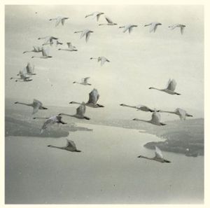 And the World Was Gone , Snow Ghosts