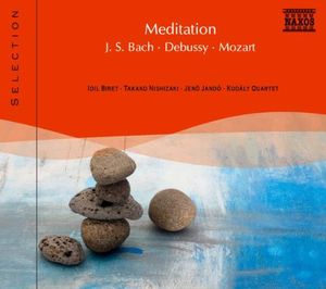 Classical Meditation / Various , Various Artists