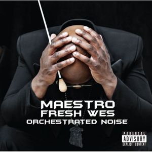 Orchestrated Noise [Import]
