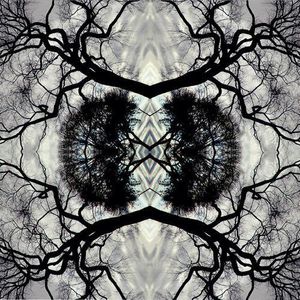 Sonic Mandala Go: Organic Orchestra , Adam Rudolph