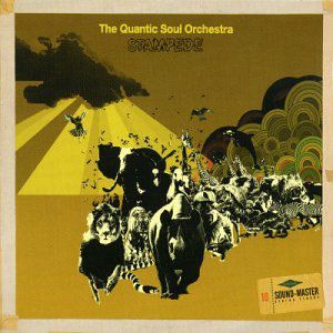 Stampede , The Quantic Soul Orchestra