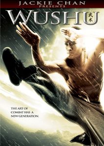 Wushu , Wang Wenjie