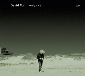Only Sky , David Torn