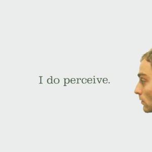 I Do Perceive