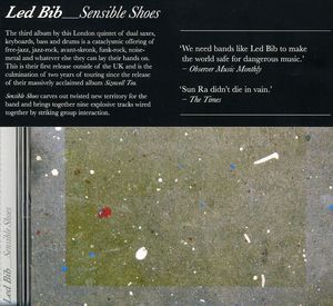 Sensible Shoes