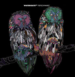 Watergate 09 , Tiefschwarz