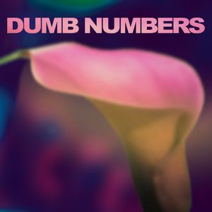 Dumb Numbers , Dumb Numbers