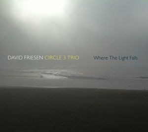 Where the Light Falls , David Friesen