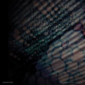 Feel Free: Live at Cafe Oto , Duane Pitre