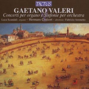 Organ Concertos & Sinfonias , Fabrizio Ammetto