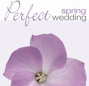 Perfect Wedding: Spring / Various , Various Artists