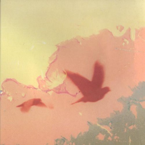 When the Lower Resembles the Higher