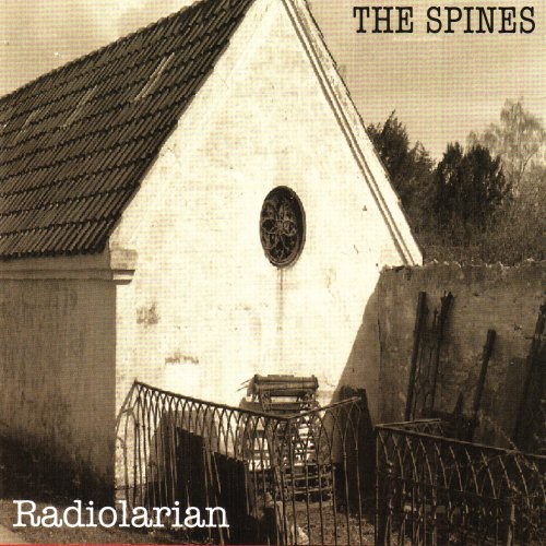 Radiolarian