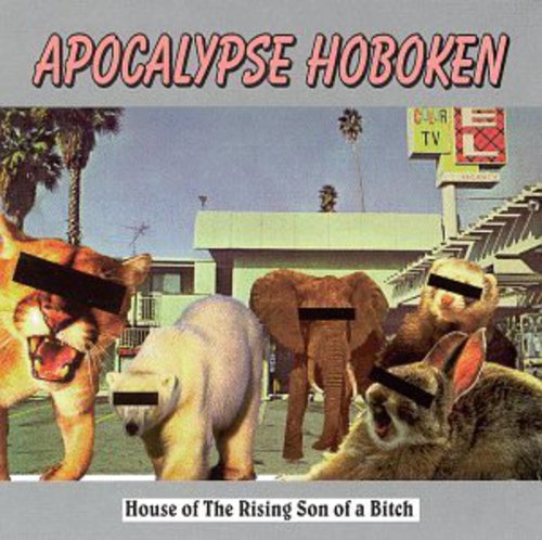 Album Art