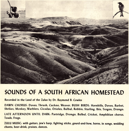 South African Homestead /  Various