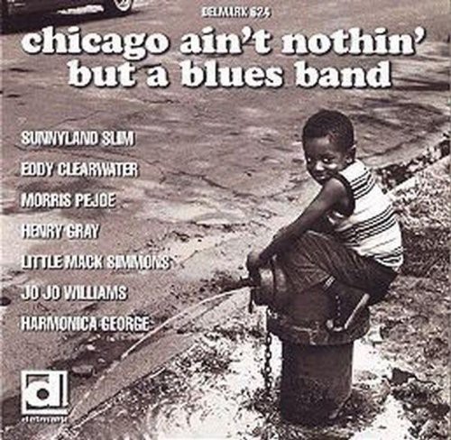 Chicago Ain't Nothin But a Blues Band / Various