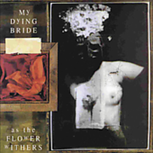 As the Flower Withers