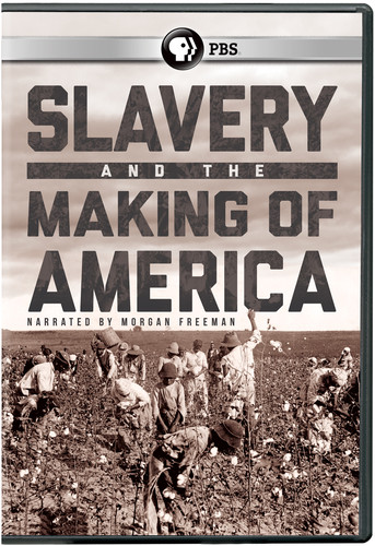 Slavery And The Making Of America